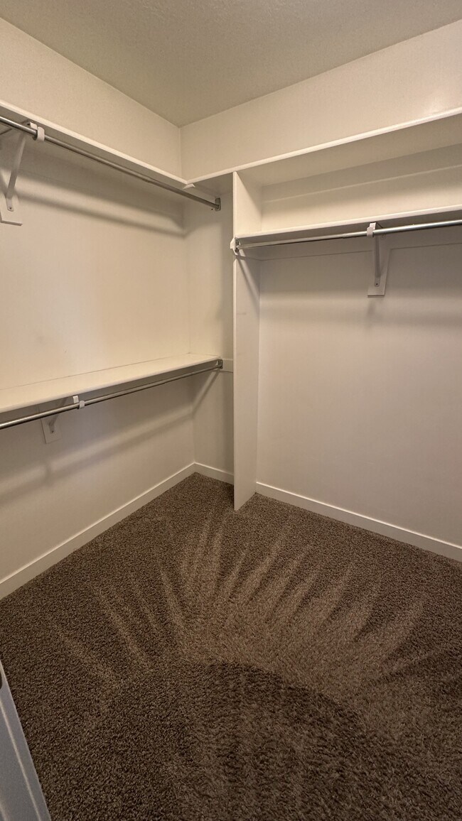 Building Photo - 169 E Ridgeline Wy