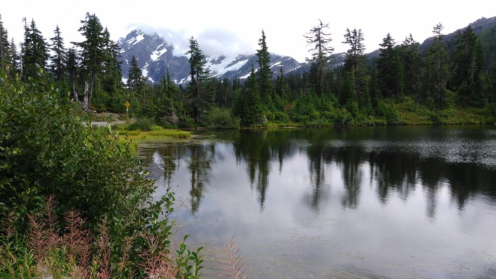 Building Photo - 2726-101 Eldridge Ave