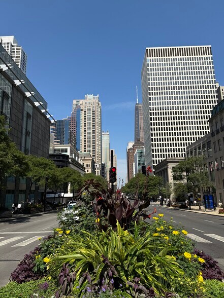 North View Of Michigan Avenue - 535 N Michigan Ave