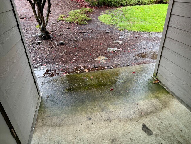 Building Photo - Cedar Mills Two Bedroom Condo-Nicely Remodeled!