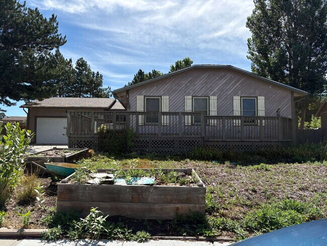 Building Photo - 5 Bedroom - Pulpit Rock