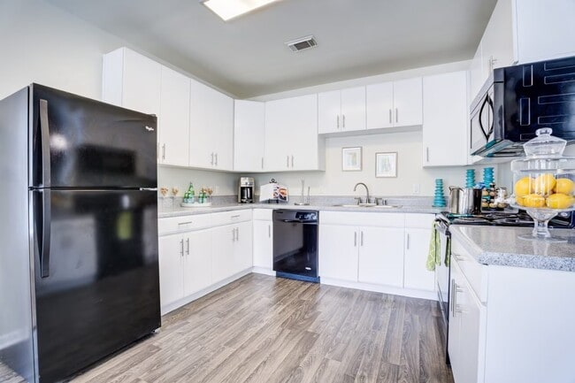 Building Photo - Modern Living with Breezy Comfort!