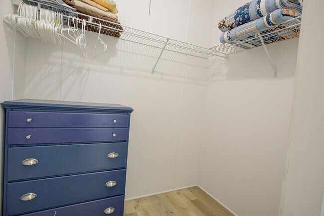 Building Photo - 6347 Salado Rd