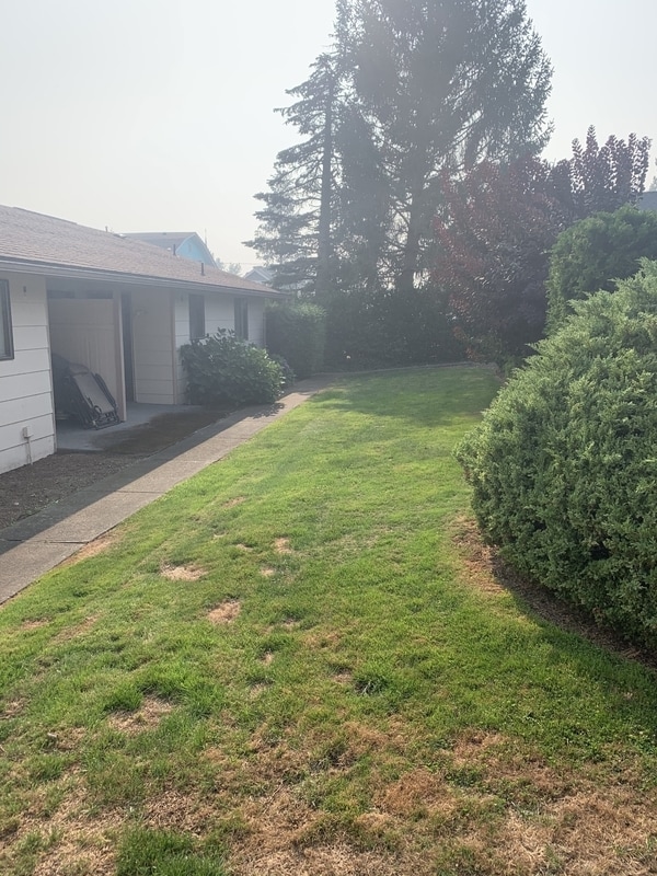 Building Photo - 908 Liberty St