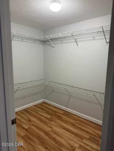 Building Photo - 16 Fernmeadow Ln