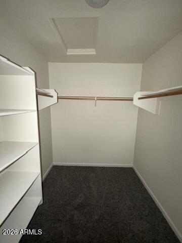 Building Photo - 1498 S Colt Dr