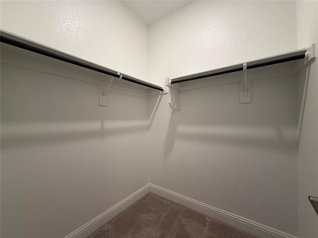 Building Photo - 1436 Brent Knoll Dr