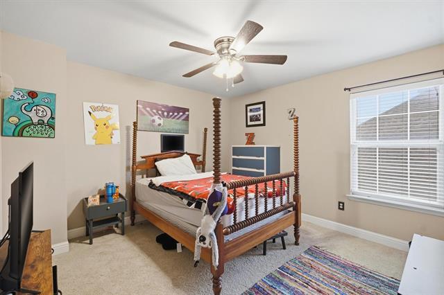 Building Photo - 4610 Sierra Sunset