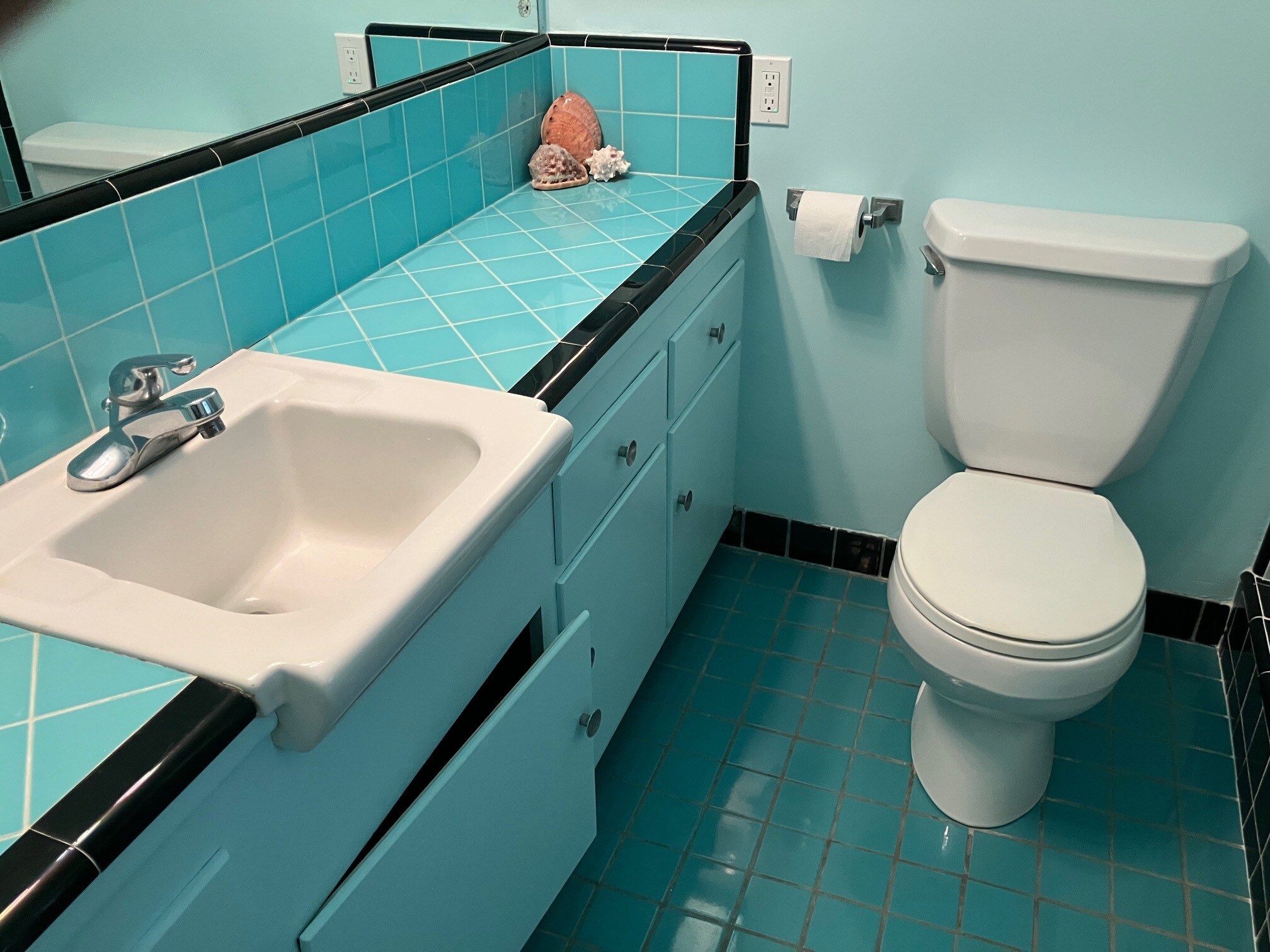 Aqua Bathroom - 237 Notteargenta Rd