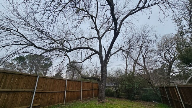 Building Photo - 2115 Glenwood Ln