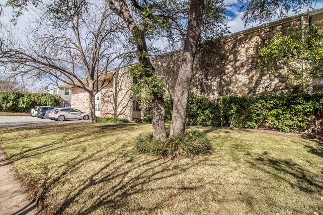 Building Photo - Charming Downstairs Apartment in the Heart of the Cultural District!