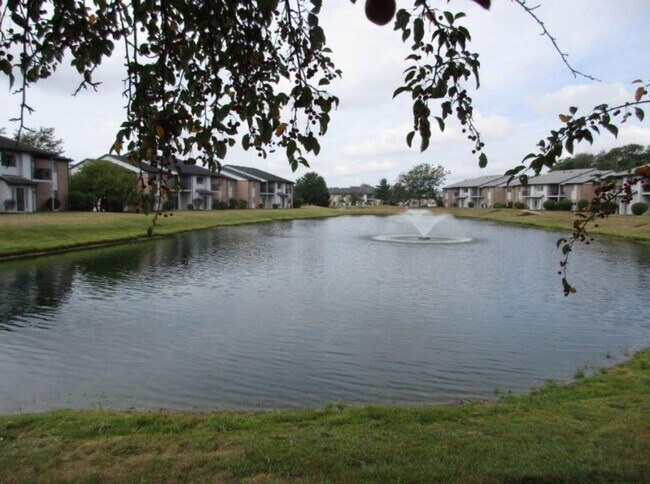 Building Photo - Beautiful 2-bedroom 1 bath apartment, down...