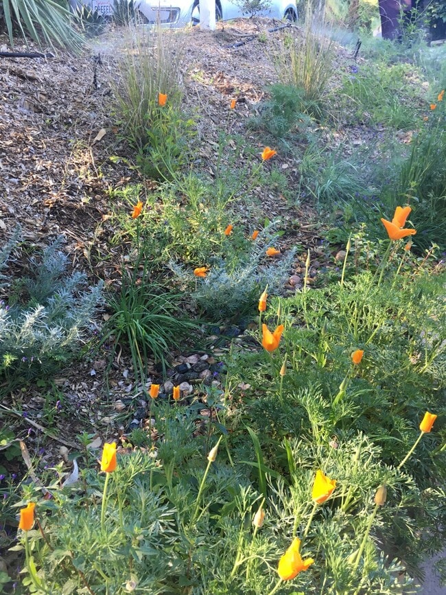 Building Photo - 702 Cavanagh Rd