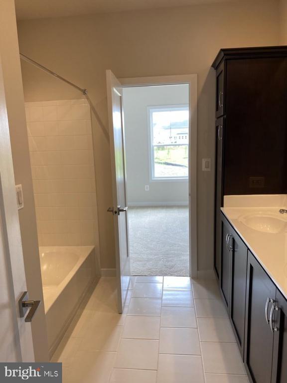Building Photo - 24980 Striped Maple Dr