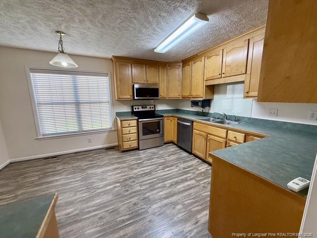 Building Photo - 6808 Jacobs Creek Cir