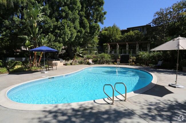Pool - Orange Grove Circle