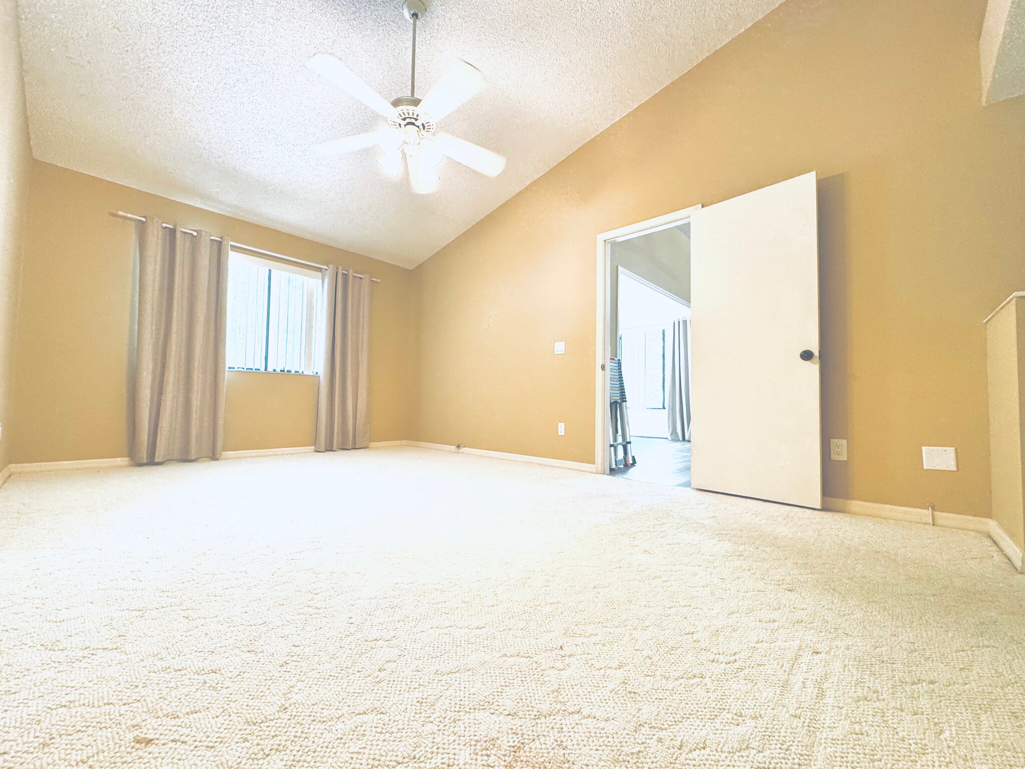 Building Photo - 4399 Brooker Creek Dr