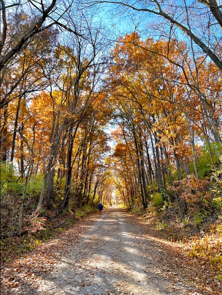 Neighborhood access to the MKT trail (via the “MKT Connector”) - 4001 W Baywood Dr