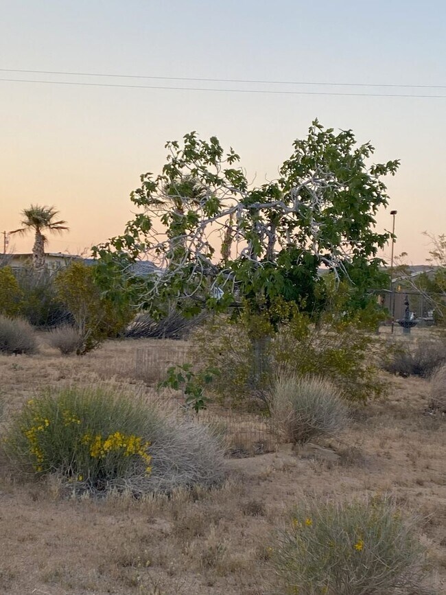 Building Photo - Charming 3-Bedroom Home for Rent in Lander...