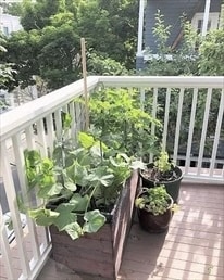 Building Photo - 6 Poplar Rd