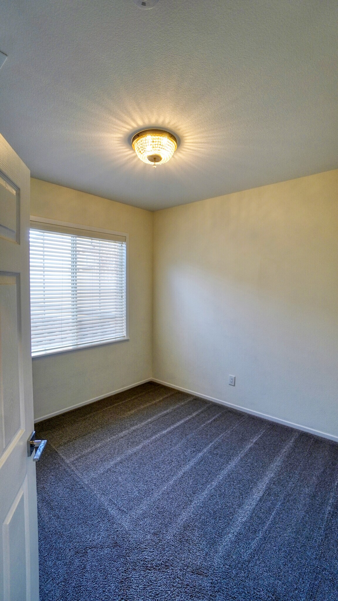 Building Photo - 4499 Brisbane Way
