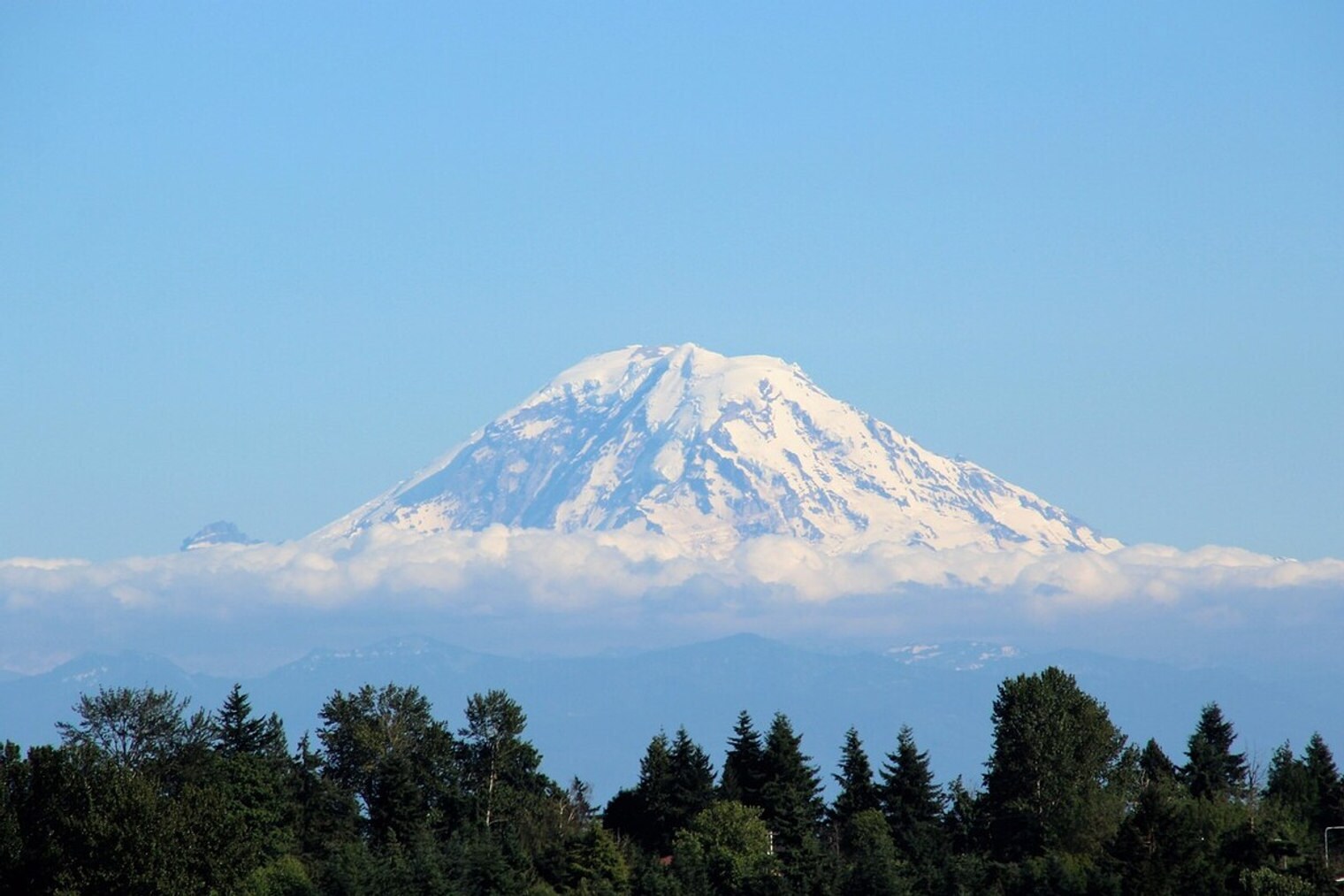 Building Photo - 2415 2nd Ave