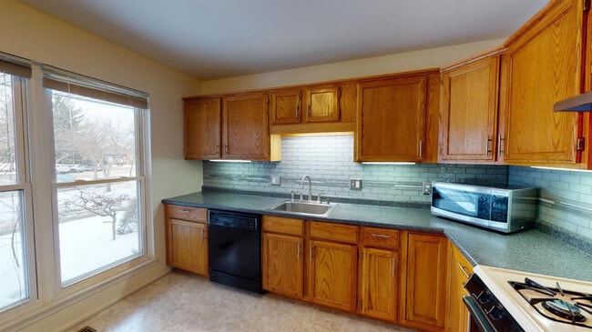 Building Photo - 3008 Bolgos Cir