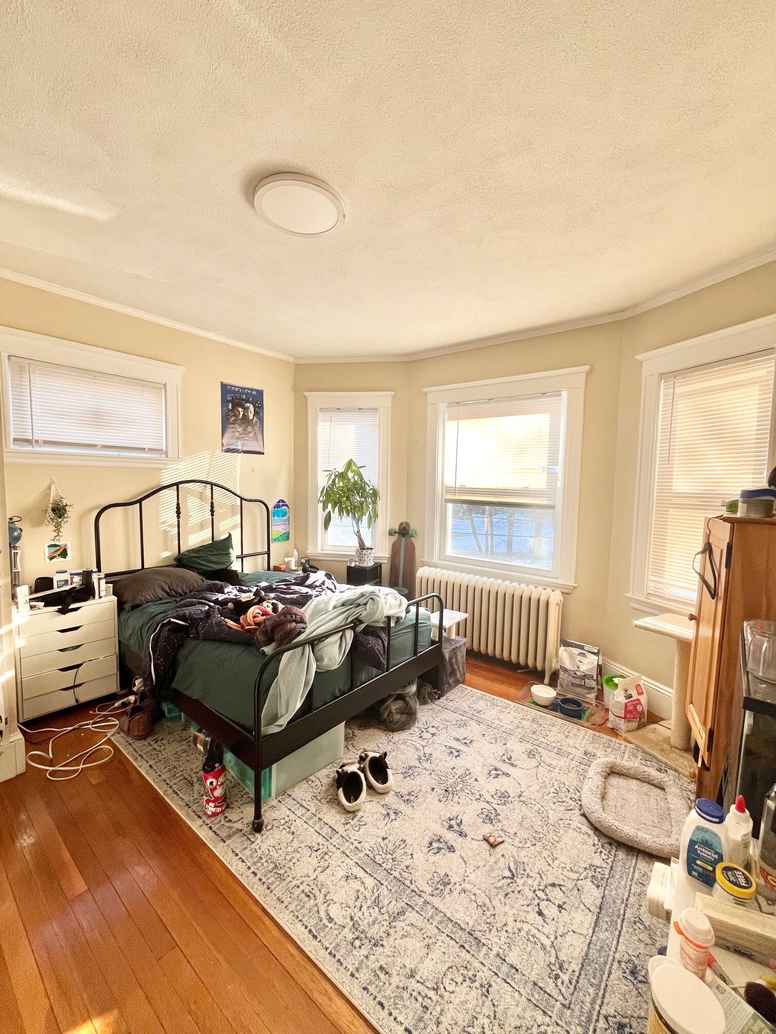 Building Photo - 7 Glenley Terrace