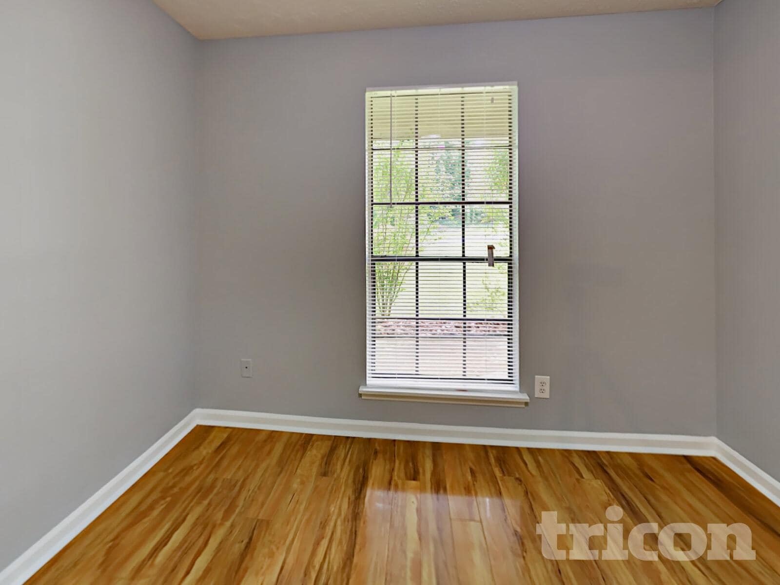 Building Photo - 1370 High Country Ct