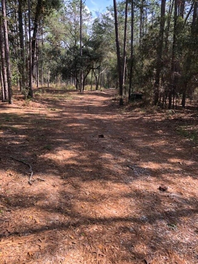 Building Photo - 2 BEDROOM 2 BATH MOBILE ON 2.21 ACRES IN LAKE TROPICANA RANCHETTES