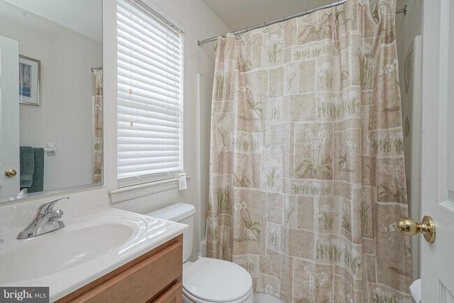 Building Photo - 142 White Cedar Dr