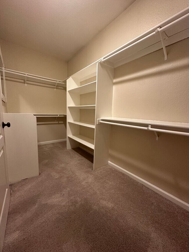Building Photo - Gorgeous 4 Bedroom with Backyard Oasis wit...