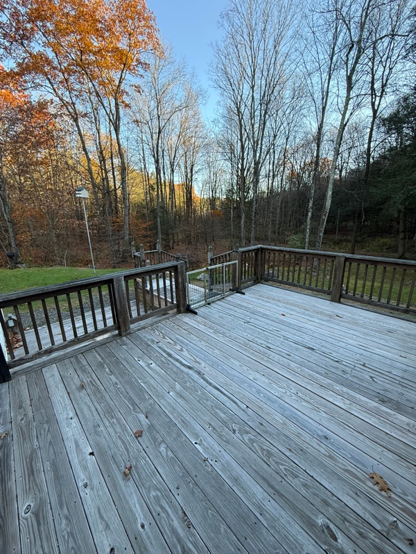 Building Photo - 115 Morningstar Ln