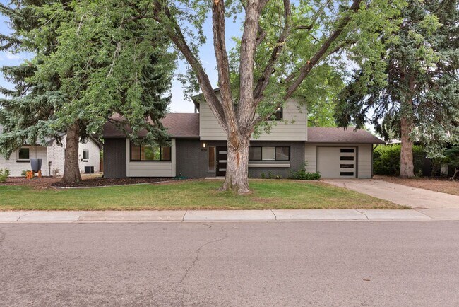 Building Photo - 4 Bedroom completely remodeled home in Fort Collins