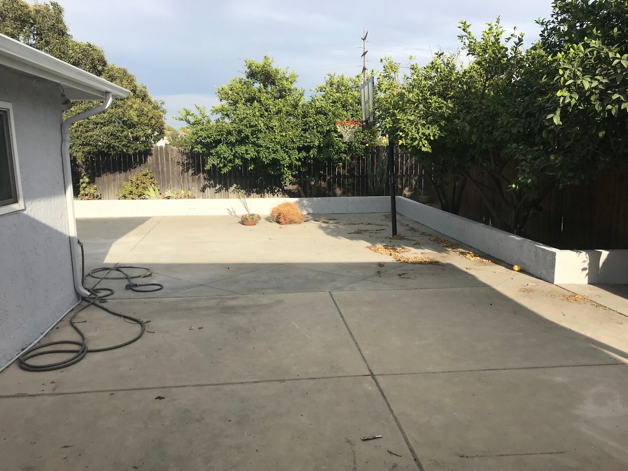 Building Photo - 7881 Hyssop Dr