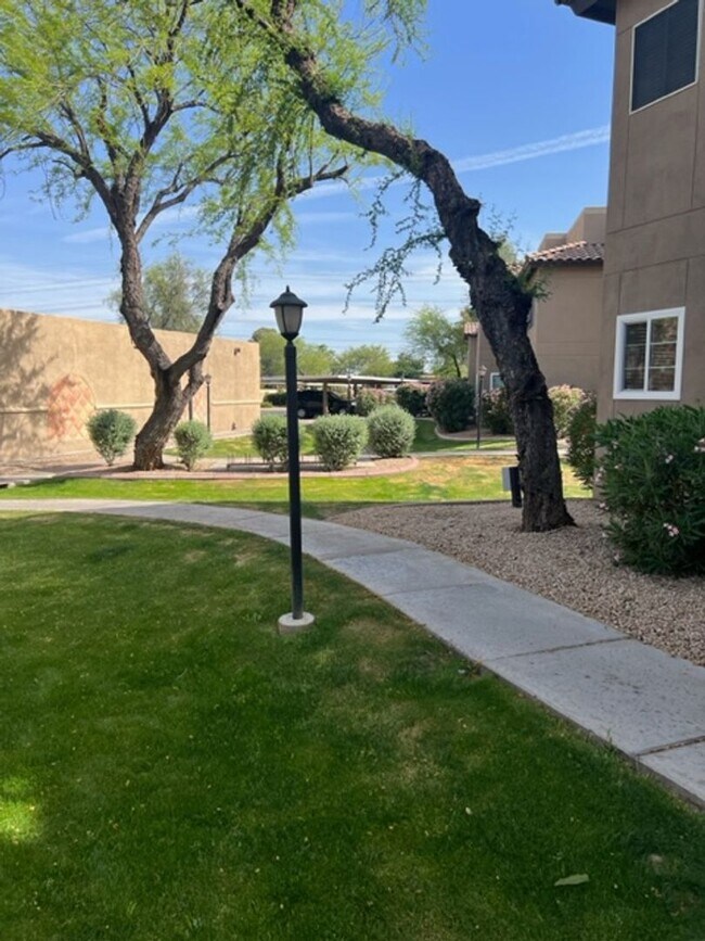 Building Photo - Fully furnished Scottsdale condo!