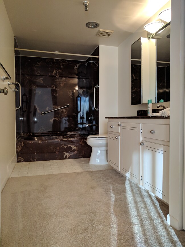 Generous master bath with marble Roman tub suite. - 198 NW 67th St