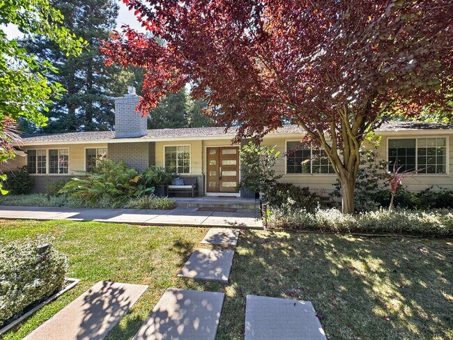 Building Photo - Gorgeous 4 Bedroom PLUS Spacious Bonus Room with Pool in Desired Alamo Neighborhood Available Now!