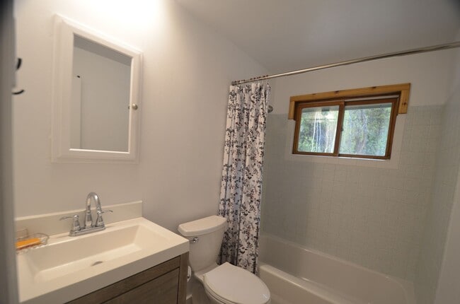 Building Photo - Mountain home tucked in the woods! 45 Minu...