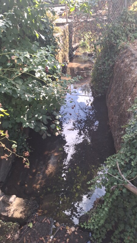 Building Photo - 2782 12th Pl SE