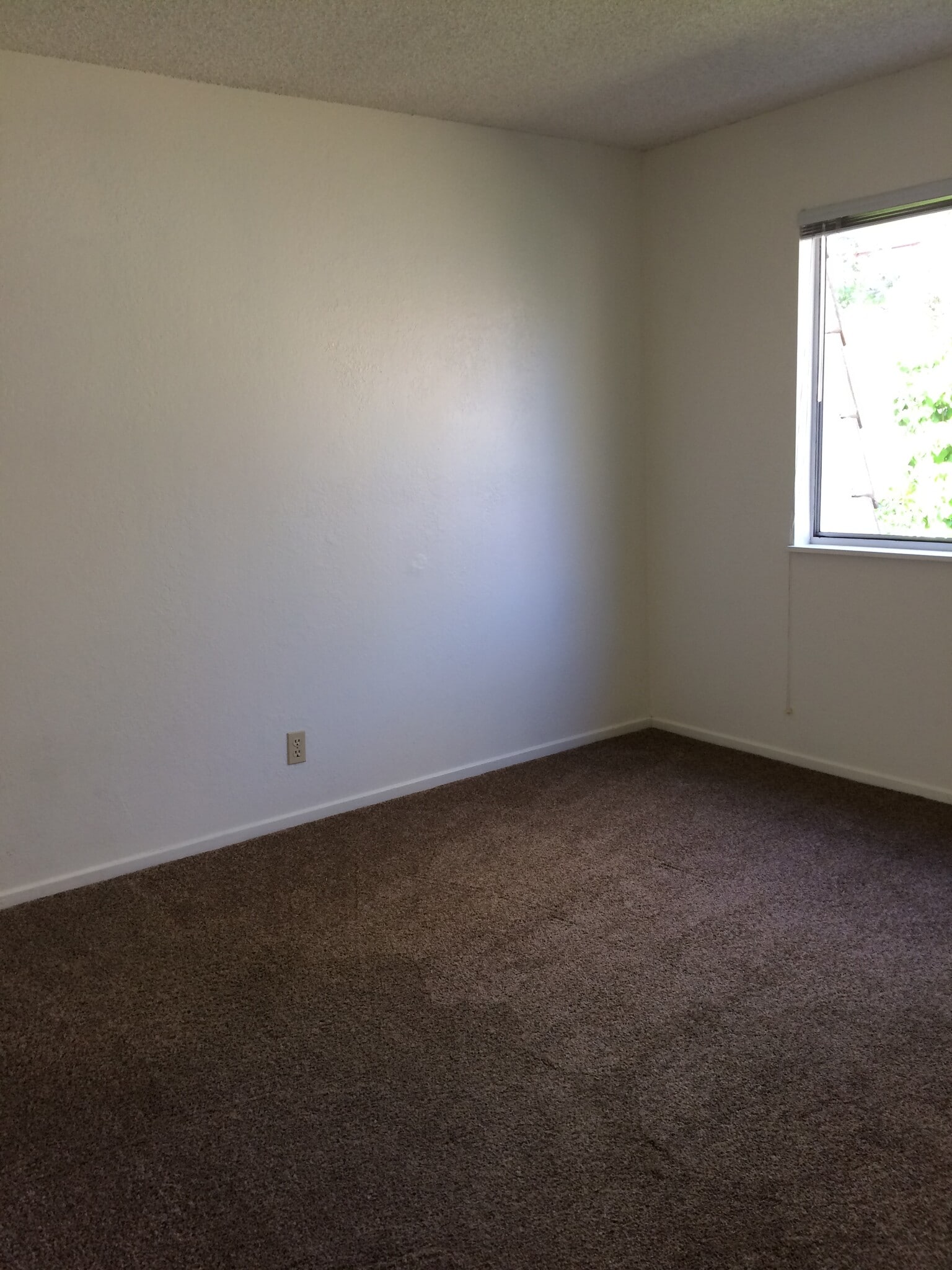 Bedroom 2 - 1355 Bond St