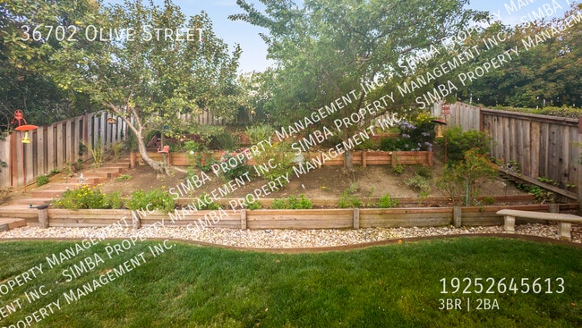 Building Photo - 36702 Olive St