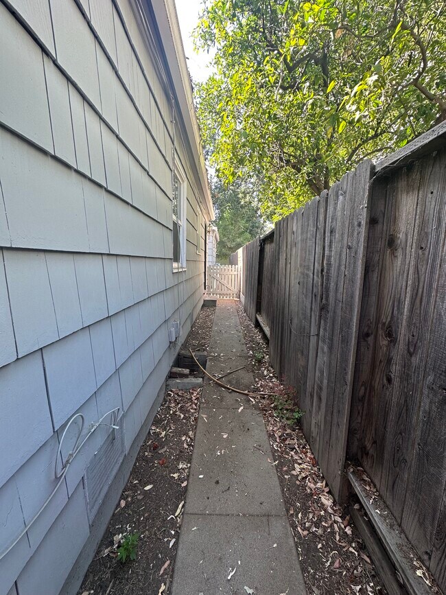 Backyard view 2 - 815 19th St