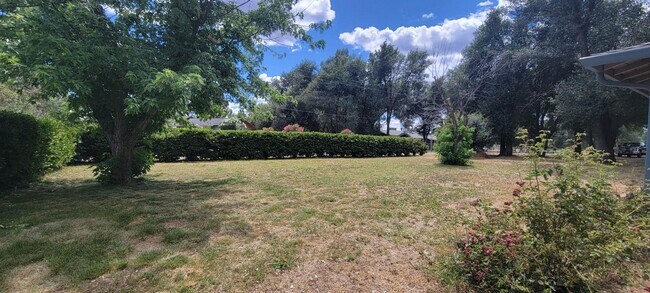 Building Photo - Cottonwood Country Living Near Schools