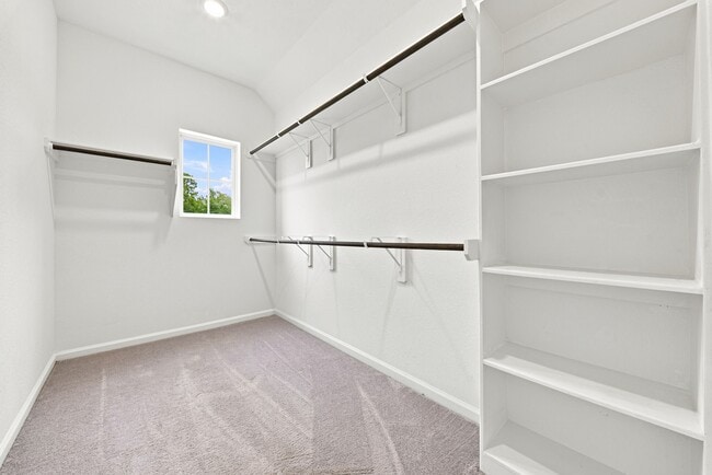 Building Photo - 4926 Chester Lk Ln