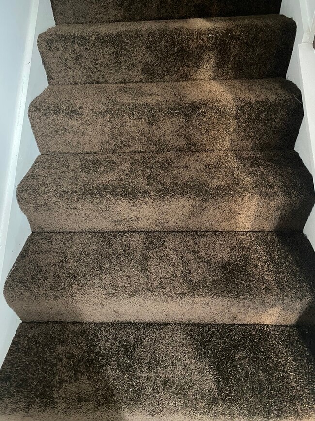 New Carpet upper level - 5599 Windfall Ln