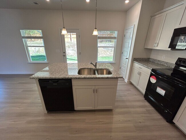 Building Photo - New 4/2.5 House in Longbrook $1,995