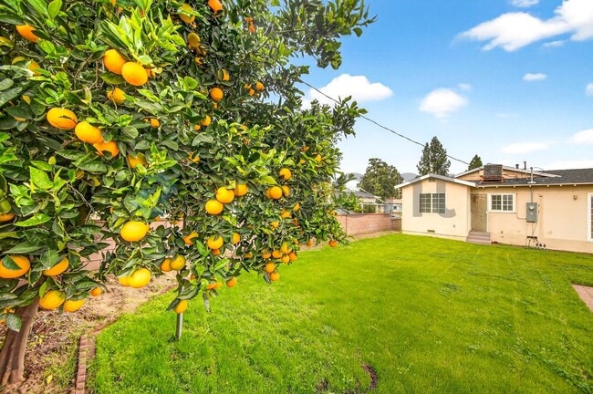 Building Photo - 1200 E Elgenia Ave