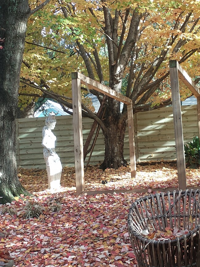 Semi-Fenced yard Keeps Rear Neighbors Out of View - 23 Gould St SE