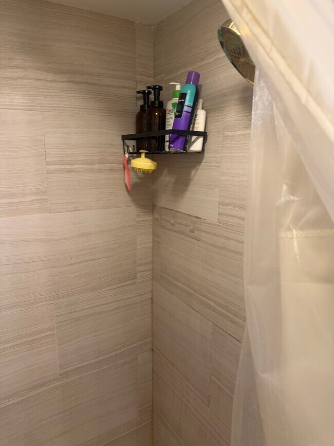 Building Photo - 417 W Webster Ave